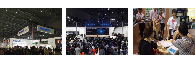 Exhibition Overview